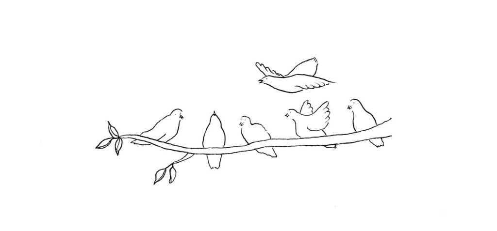 illustration oiseaux